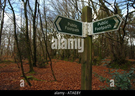 Un sentier public signe pointant dans des directions opposées le long d'un chemin forestier dans la région de Devon, Royaume-Uni. Banque D'Images