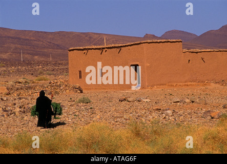 1, l'un, marocain, Maroc, berbère, femme berbère, d'un bâtiment, d'adobe, ksar, entre agdz et zagora, la vallée du Drâa, Maroc, afrique Banque D'Images