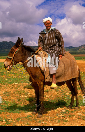 1, l'un, l'homme marocain, marocain, l'homme, l'homme adulte, homme mûr, un homme âgé, le berbère, l'équitation, mule, ait ameur ouabid boulemane, région, le Maroc, l'Afrique Banque D'Images