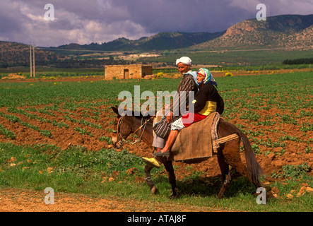 2, 2, les Marocains, les Marocains, mari et femme, couple, Berbères, équitation, mule, près de Aci Ameur Ouabid Boulemane, région, le Maroc, l'Afrique Banque D'Images