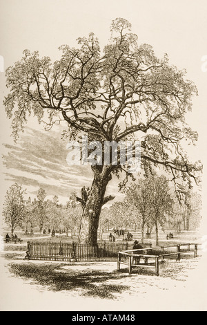 Boston, Massachusetts, le Liberty Tree dans années 1870. Banque D'Images