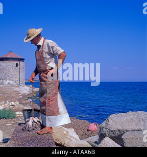 L'HOMME POULPE BASHING DANS LESBOS GRÈCE Banque D'Images