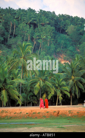 L'Inde Kerala deux femmes à pied par des arbres coco Banque D'Images