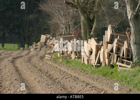 Boîtes de pommes de terre Jersey Royal empilés sur la bordure du champ après la plantation Jersey Channel Islands UK Banque D'Images
