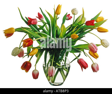 Tulipes dans un vase en verre Banque D'Images