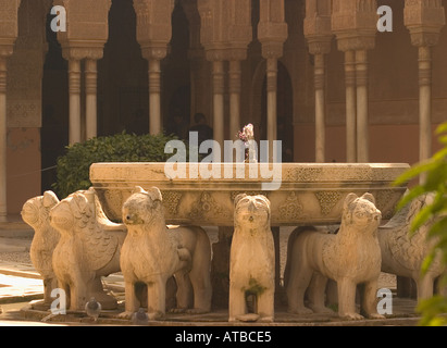 Granada, Espagne. La Alhambra. Patio de los Leones ou Cour des Lions Banque D'Images