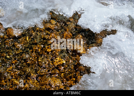 De la neige et de l'IRJ72868 modèle de pierre dans le lit du fleuve Bhagirathi Himalaya Inde Gomukh Uttranchal Banque D'Images