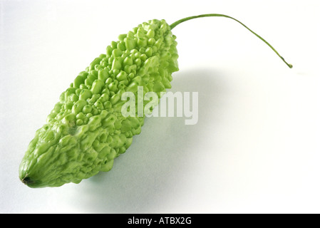 Le melon amer, close-up Banque D'Images