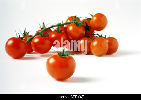 Les tomates de vigne, close-up Banque D'Images