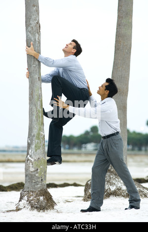 Businessman associé aidant à monter tronc d'arbre, side view Banque D'Images