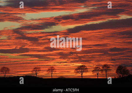 Coucher de soleil avec des nuages de couleur rouge, l'Allemagne, en Rhénanie du Nord-Westphalie, Kuerten-Spitze Banque D'Images