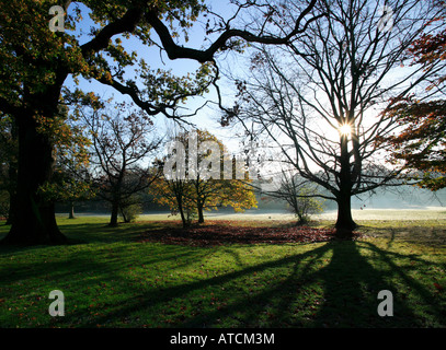 Lever du soleil d'hiver dans les arbres au bord de l'Agence de golf à Beckenham Place Park Banque D'Images