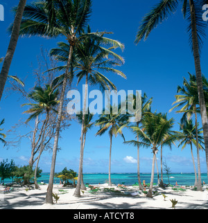 La plage de Bavaro, Punta Cana, République dominicaine, Caraïbes Banque D'Images