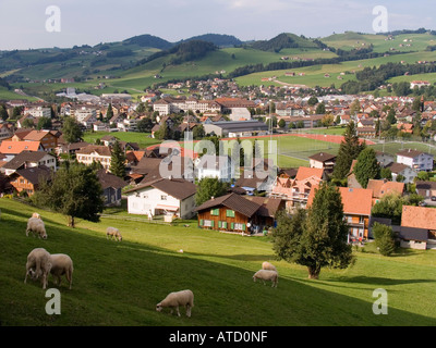 Moutons paissent sur colline au-dessus de village alpin de Appenzell Suisse Banque D'Images