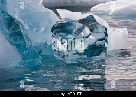 Crystal Clear morceau d'iceberg flottant dans les eaux de l'Antarctique bleu argenté bleu entre les morceaux de glace Banque D'Images