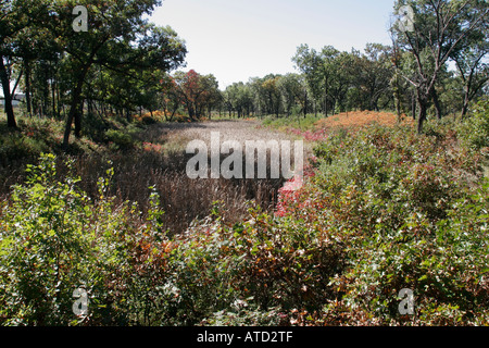 Indiana Lake County,Gary,Indiana Dunes National Lakeshore,Miller Woods,ranger,savane de chêne noir,sentier de randonnée,marais,les visiteurs voyage tour tou Banque D'Images