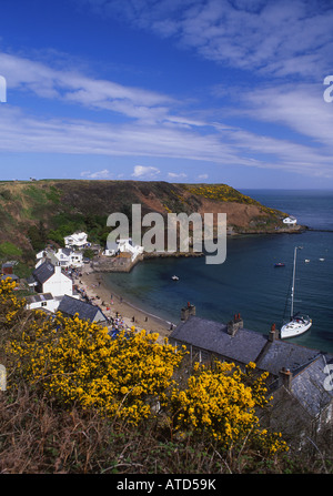 Au printemps près de Porth Dinllaen Morfa Péninsule Llŷn Nefyn North Wales Banque D'Images