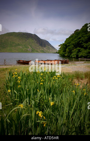 Barques en bois sur la rive du lac près de Buttermere Crummock Water dans le lake district avec drapeau jaune en été, les iris Banque D'Images