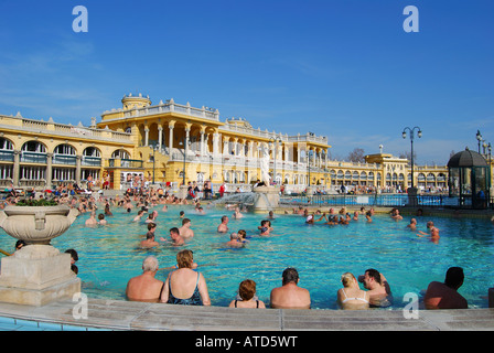 Piscine thermale de plein air, des bains Szechenyi, Varosliget, Pest, Budapest, Hongrie Banque D'Images
