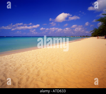 Seven Mile Beach sur l'île Grand Cayman dans les Caraïbes Banque D'Images