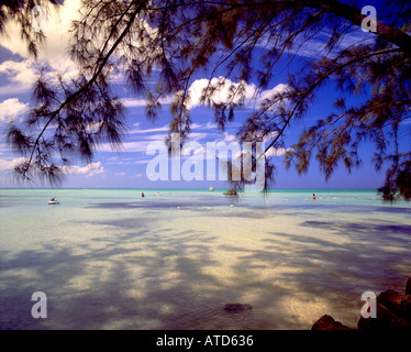 Rum Point sur l'île Grand Cayman dans les Caraïbes Banque D'Images