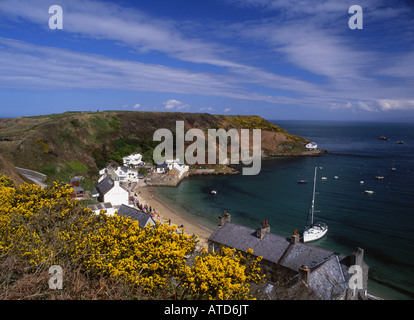 Au printemps près de Porth Dinllaen Morfa Péninsule Llŷn Nefyn North Wales UK Banque D'Images