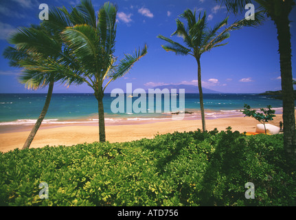 Palmiers et végétation luxuriante sur la plage de Kaanapali Maui Hawaii Banque D'Images