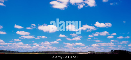 Cumulus moelleux dans un ciel bleu Banque D'Images