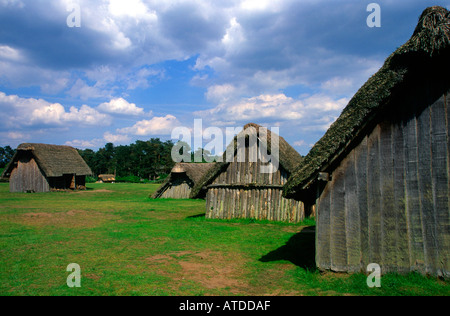 Village anglo-saxon de la reconstruction thatched house Banque D'Images