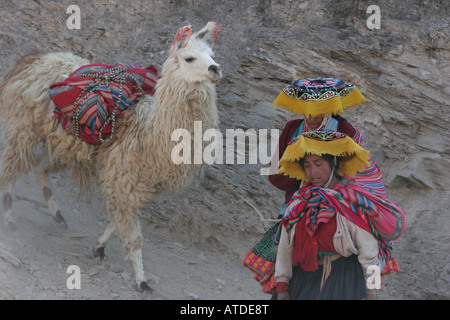 Les femmes péruviennes à pied vers le bas de la montagne avec leurs alpagas et de la famille au marché de Urcos, Pérou Banque D'Images