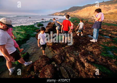 Des flaques permettent aux gens un aperçu de plantes et d'animaux de l'océan Pacifique en Californie Banque D'Images