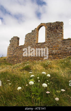 Mur en ruine d'un bâtiment de l'ancienne mine à Botallack de fleurs sauvages en premier plan. Banque D'Images