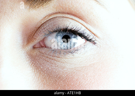 Close up of a female eye montrant l'iris pupille et de cils Banque D'Images