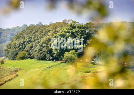 Vue de GLOUCESTERSHIRE UK DE ULEY ENTERRER AVEC M. DOWNHAM Hill Connu localement comme la variole HILL EN RAISON D'UNE FOIS UTILISÉ EN TANT QU'Isolat Banque D'Images