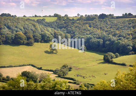 Vue d'une vallée PRÈS DE COTSWOLD ULEY DANS GLOUCESTERSHIRE MONTRANT ÉGALEMENT L'ÉOLIENNE au Royaume-Uni NYMPSFIELD Banque D'Images