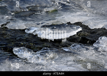 Formations de glace dans un ruisseau Banque D'Images