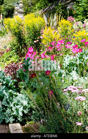 Frontière mixtes dans le jardin clos au Botanic Gardens, Oxford Banque D'Images