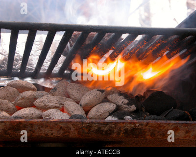 Close up de flammes, feu, charbon de bois et cendre dans charcoal grill Banque D'Images