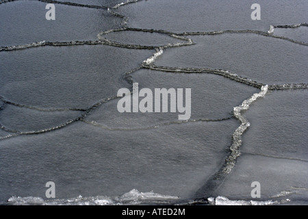 Formations de glace sur la surface de la mer Banque D'Images