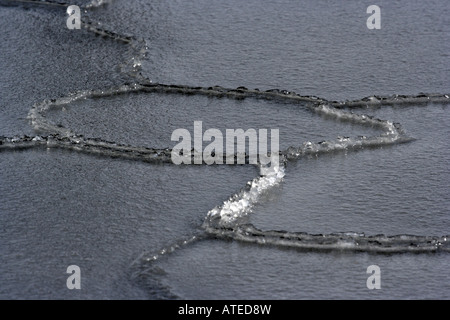 Formations de glace sur la surface de la mer Banque D'Images