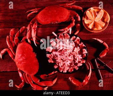 Le crabe dormeur du Pacifique sont d'une délicatesse qui l'océan couleur rouge après la cuisson à l'eau bouillante Banque D'Images