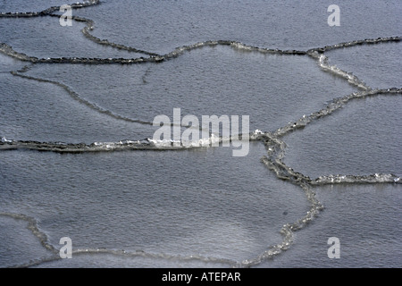 Formations de glace sur la surface de la mer Banque D'Images