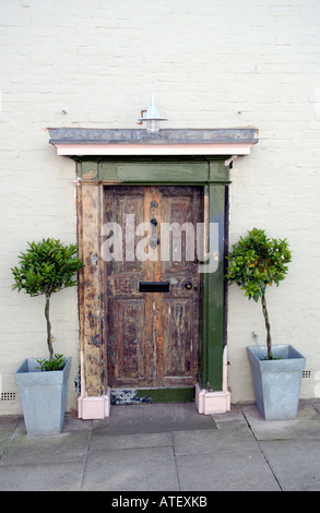 Porte avant avec de la peinture brûlée en partie de maison de style georgien avec des arbustes en pots à l'extérieur de Ludlow Shropshire Banque D'Images