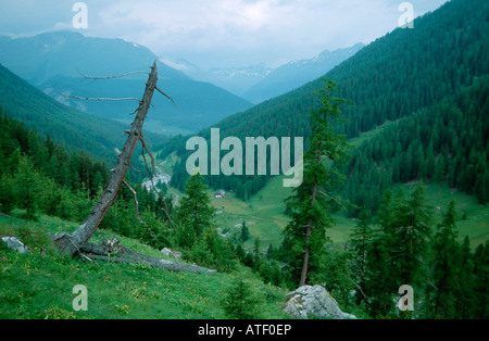 Valley / Val Trupchun Banque D'Images