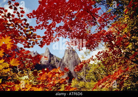 Corée Mt Soraksan dans les arbres d'Automne Automne Couleurs Banque D'Images