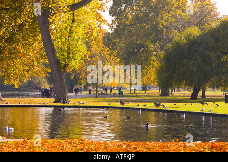 L'automne à Regents Park Londres Angleterre Banque D'Images