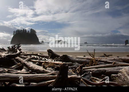 Deuxième plage, La Push, Washington, USA Banque D'Images