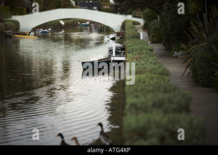 Canal avec pont et canards dans le domaine des canaux de Venice Beach, Los Angeles County, Californie, USA Banque D'Images