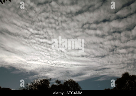 L'Altocumulus Undulatus Nuages Banque D'Images