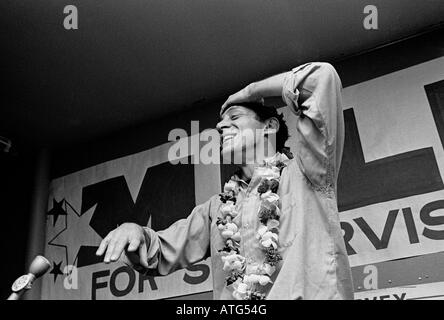 Harvey Milk célèbre dans son magasin de l'appareil photo de son élection en tant que superviseur de San Francisco le soir de l'élection le 8 novembre 1977 Banque D'Images